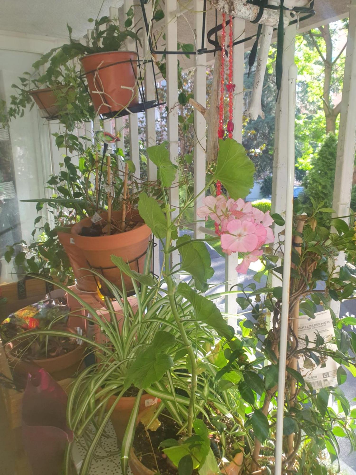 Appartement Libros Y Plantas A 5 Minutos Del Centro En Bus à Madrid Extérieur photo